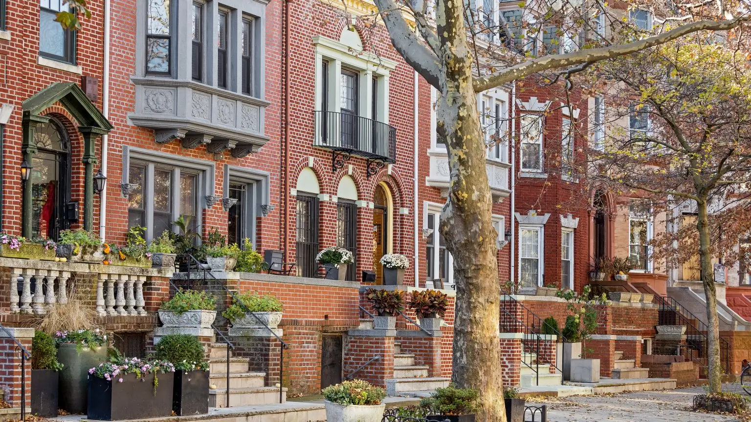 Prospect Lefferts Gardens (11225)