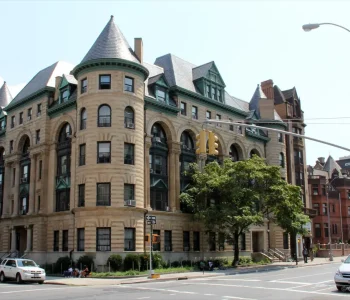 Crown Heights (11213)