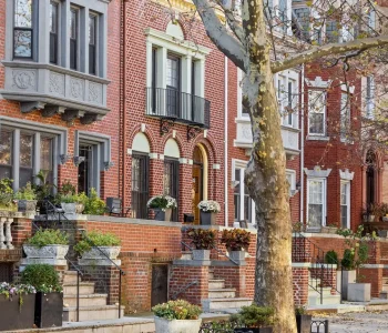 Prospect Lefferts Gardens (11225)